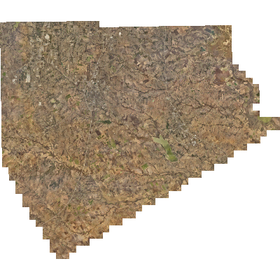 Export Image